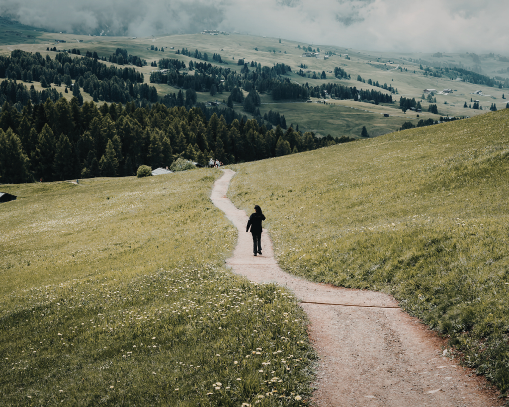 Symbolic image of emotional healing and moving forward after trauma therapy