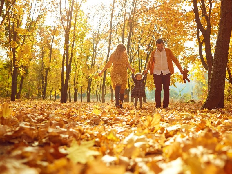 a mom and dad with their daughter holding hands and sharing a happy moment surrounded by the fall trees and leaves.
