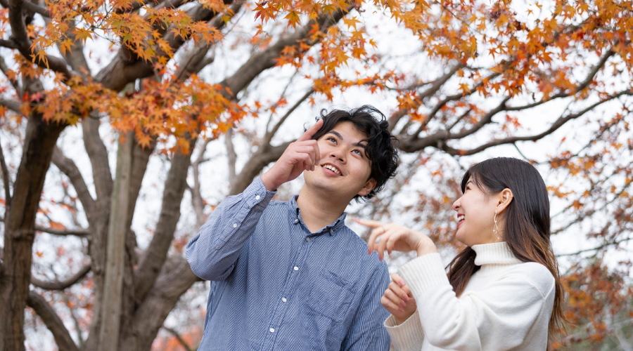 A young couple smiles and points upward at the vibrant orange and red autumn leaves of a maple tree in an outdoor park setting