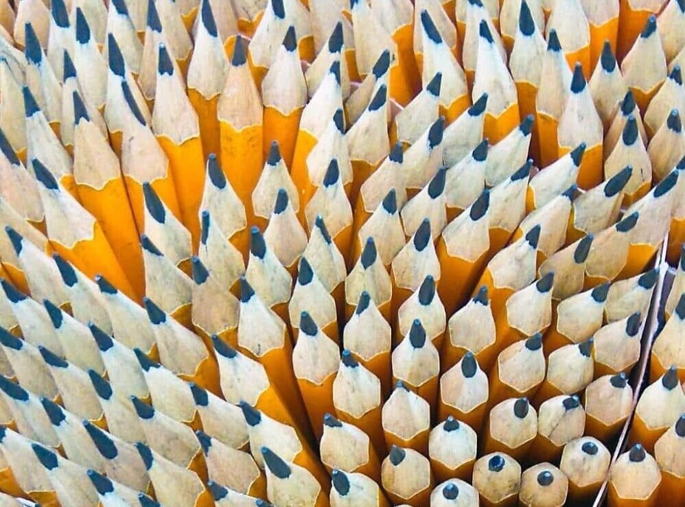A close-up, overhead view of a large cluster of yellow pencils tightly packed together, with their points facing upwards.