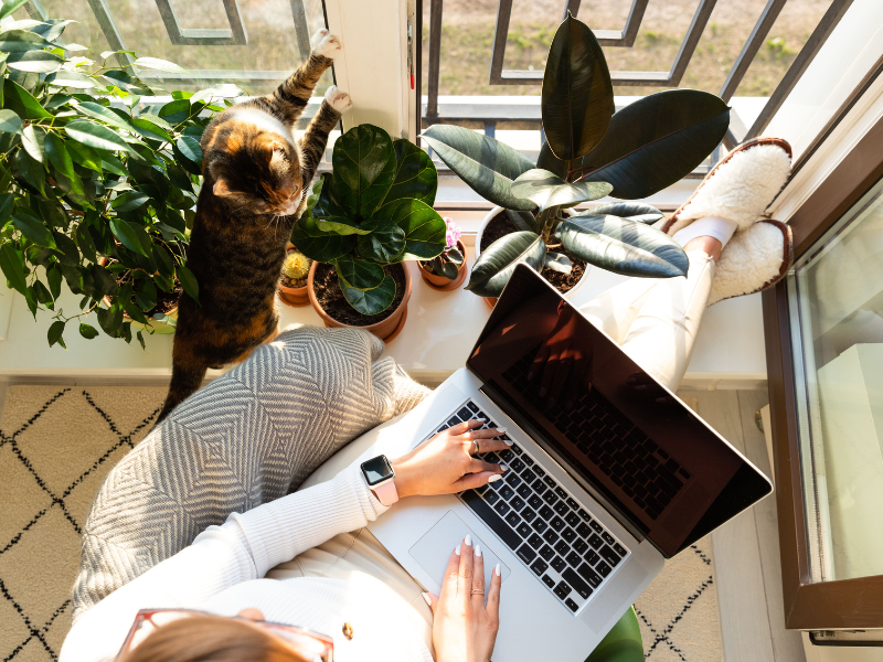 Aerial shot of a woman working on a computer while facing windows with plants on the windowsill.