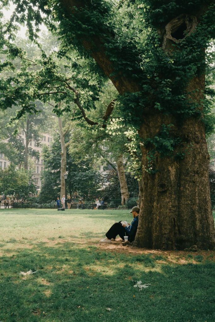 A person relaxing outdoors, journaling or taking a quiet walk, warm natural light