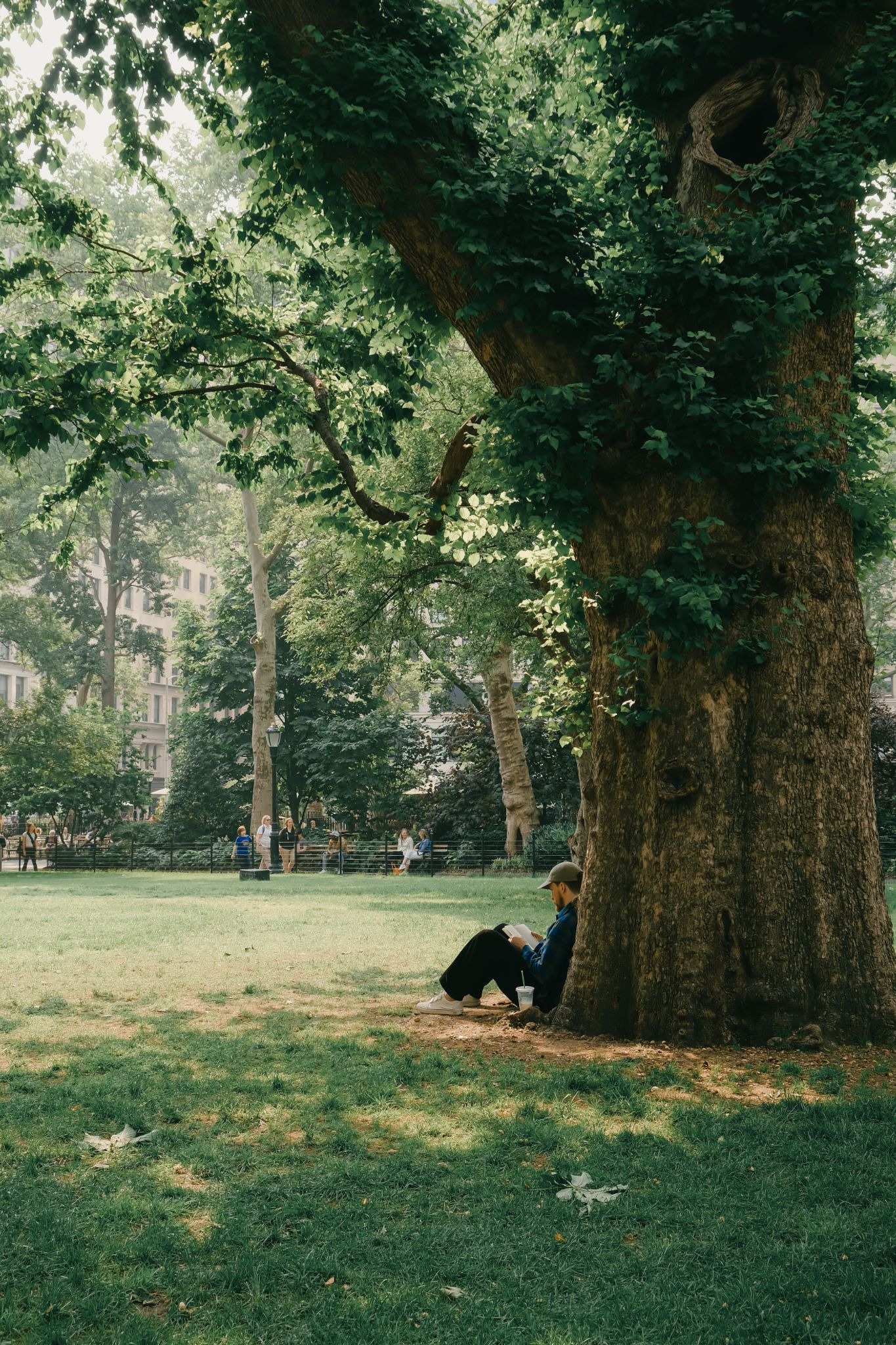 A person relaxing outdoors, journaling or taking a quiet walk, warm natural light